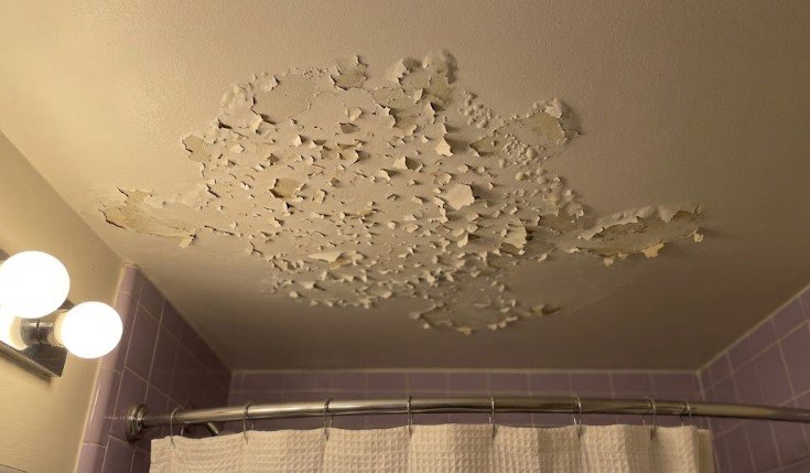 Small paint flakes clustered on a bathroom ceiling directly above the shower, caused by steam