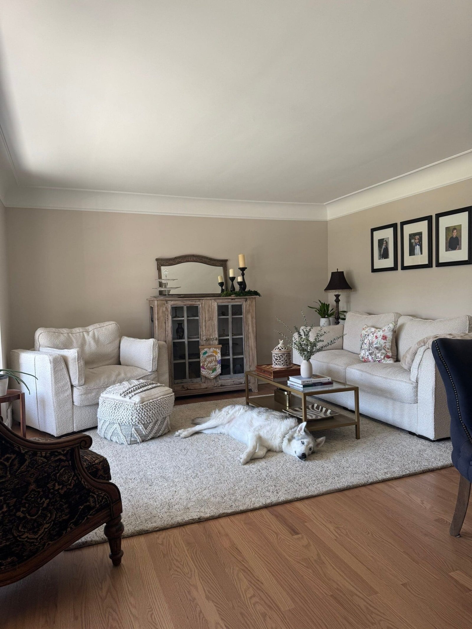 a dog lying on a rug in a living room